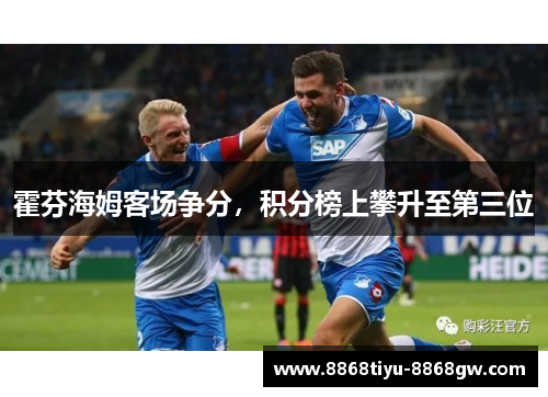 霍芬海姆客场争分，积分榜上攀升至第三位